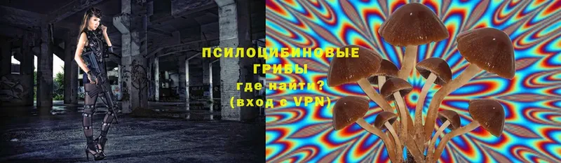 Где купить Нальчик Канабис 